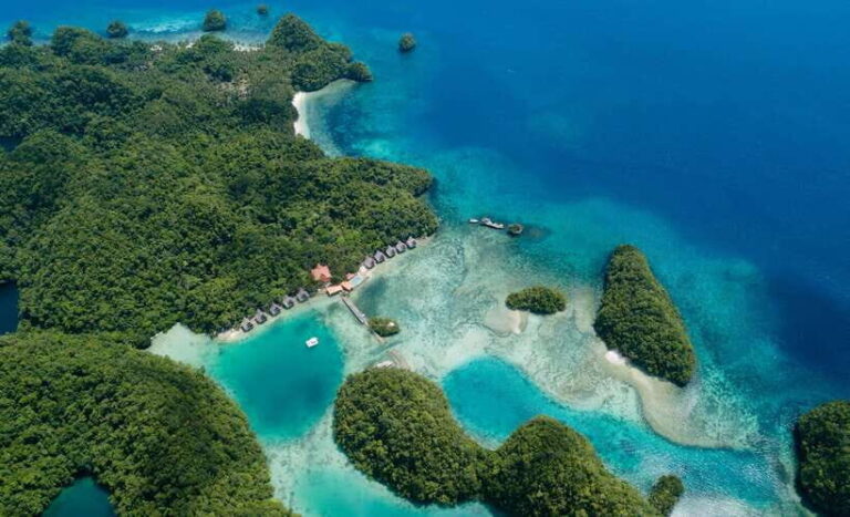 Sohoton Cove: Swim with Jellyfish & Explore Hidden Lagoons - What the Reviews Say