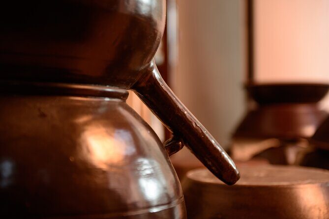 Soju Tasting at Distillery - story of 3 pigs - Exploring the Distillery Experience