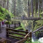 Sol Duc, Lake Crescent, and Hurricane Ridge Guided Tour in Olympic National Park - A Deep Dive into the Olympic National Park Guided Tour