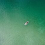 Sommers Bay Clear Kayak Tour// Flathead Lake - An In-Depth Look at the Flathead Lake Clear Kayak Tour