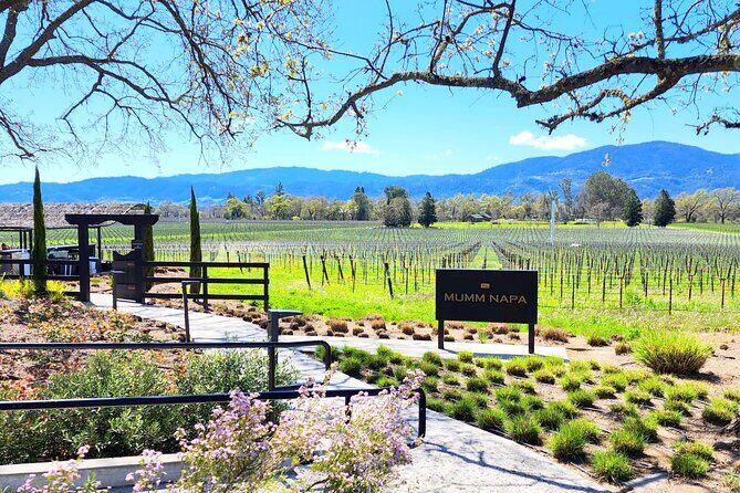 Sonoma and Napa Champagne Wine Private Tour Half Day - Who Will Enjoy This Tour?