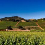 Sonoma And Napa Wine Tour Private Tours 8 to 10 Hours max 14 pax - FAQ