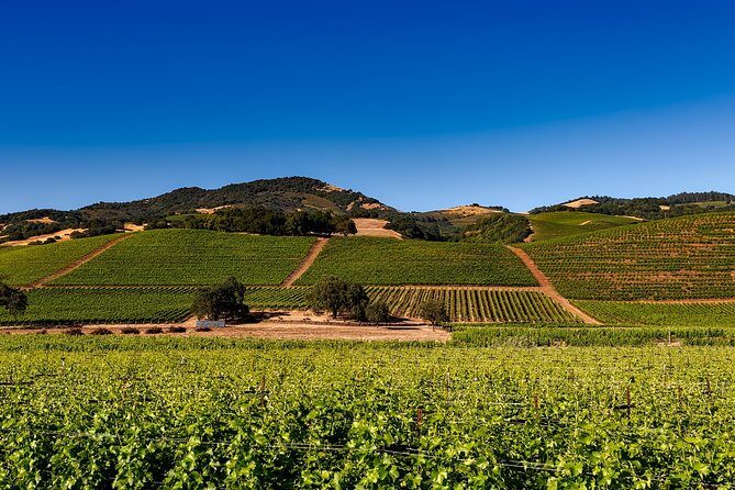 Sonoma And Napa Wine Tour Private Tours 8 to 10 Hours max 14 pax - FAQ