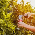 Sonoma County: Tasting Pass (Choose 1, 2, or 90 Days) - A Deep Dive Into the Sonoma County Tasting Pass