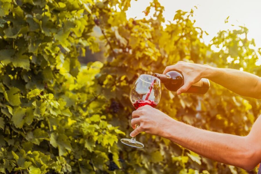 Sonoma County: Tasting Pass (Choose 1, 2, or 90 Days) - A Deep Dive Into the Sonoma County Tasting Pass