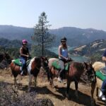 Sonoma Horseback-Riding Tour - An In-Depth Look at the Sonoma Horseback-Riding Tour