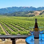 Sonoma Valley All-Inclusive Wine Tour - Frequently Asked Questions