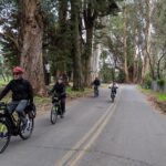 Sonoma Valley Pedal Assist Bike Tour with Lunch - The Experience and Why It Works