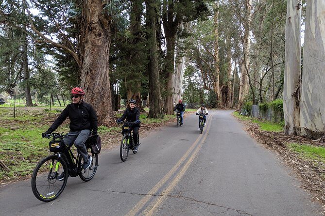 Sonoma Valley Pedal Assist Bike Tour with Lunch - The Experience and Why It Works