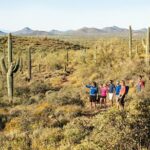 Sonoran Desert Guided Hike - Why This Tour Stands Out