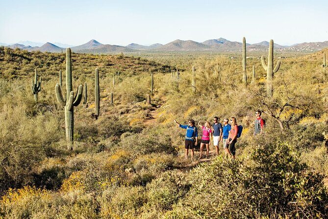 Sonoran Desert Guided Hike - Why This Tour Stands Out