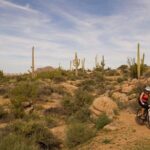 Sonoran Desert Guided Mountain Bike Tour - The Details of the Sonoran Desert Mountain Bike Tour