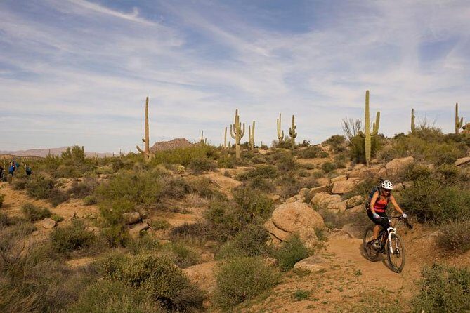 Sonoran Desert Guided Mountain Bike Tour - The Details of the Sonoran Desert Mountain Bike Tour