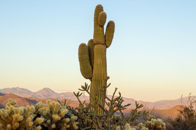 Sonoran Desert Jeep Tour - The Value and Overall Impression