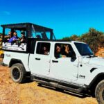 Sonoran Desert To MountainTop Jeep Tour minutes from Scottsdale - A Closer Look at the Itinerary and What to Expect