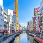 Soul of Osaka Walking Tour - The Practicalities: What to Expect