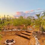 Soul Reconnection Retreat in Joshua Tree - Detailed Review of the Soul Reconnection Retreat in Joshua Tree