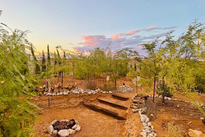 Soul Reconnection Retreat in Joshua Tree - Detailed Review of the Soul Reconnection Retreat in Joshua Tree