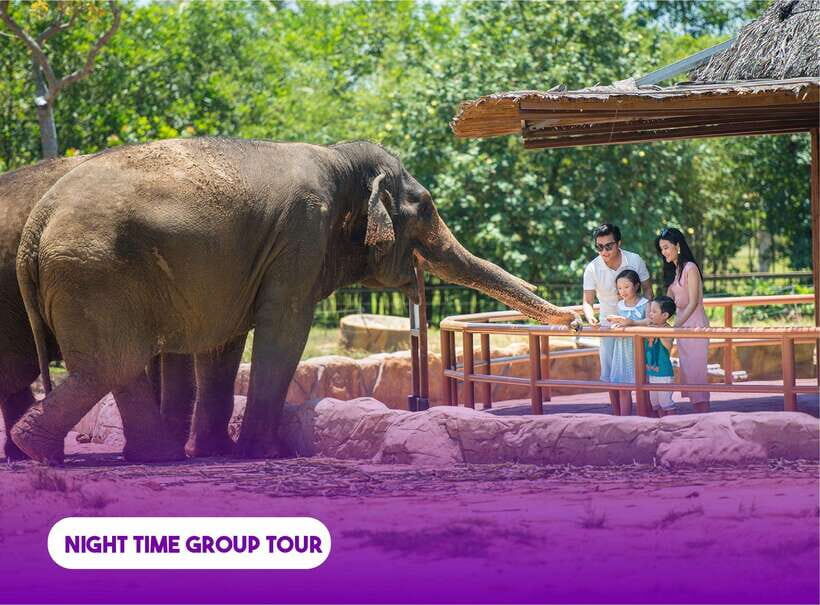 South Hoi An River Safari With Candle-lit Beach Dinner - Final Thoughts on the South Hoi An River Safari With Candle-lit Beach Dinner