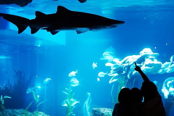 South Korea a Sea Life Busan - A Deep Dive into SEA LIFE Busan