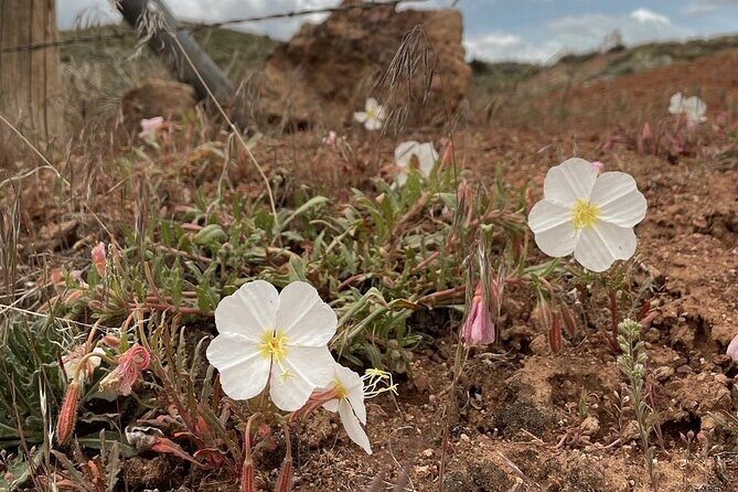 South Pass City Historical Tour - FAQs