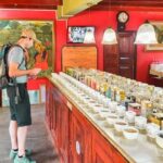 Southern Coast Highlights from Colombo - What the Tour Means for You