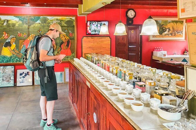 Southern Coast Highlights from Colombo - What the Tour Means for You