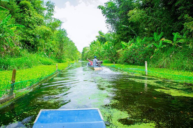 Southern Forest Tour  Explore Hau Giang Nature - Who Will Love This Tour?