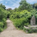 Southern Kyoto: Journey to Jruri-ji & Its Pure Land Garden - Who Should Consider This Tour?