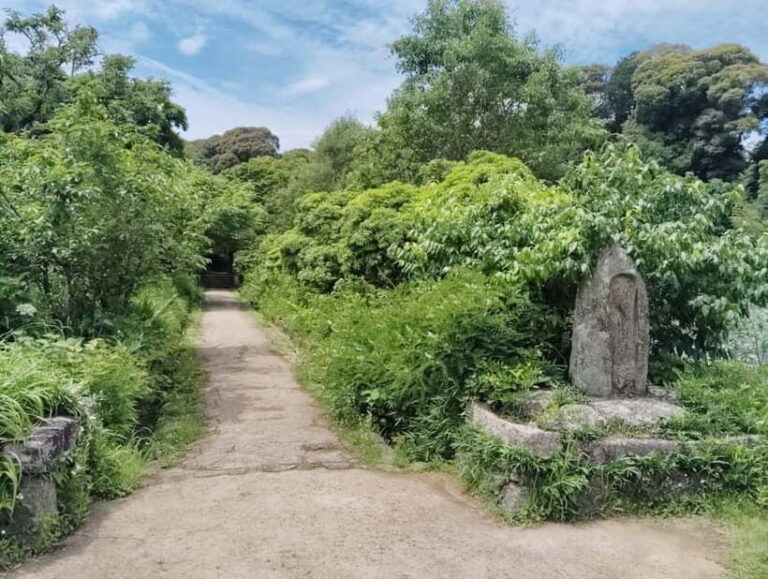 Southern Kyoto: Journey to Jruri-ji & Its Pure Land Garden - Who Should Consider This Tour?