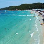 Speedboat Tour From Pattaya to Koh Larn Coral & Sak Island - The Full Breakdown: What to Expect on This Speedboat Trip