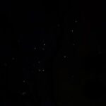 Spirits of Savannah Private Guided Walking Tour - FAQs