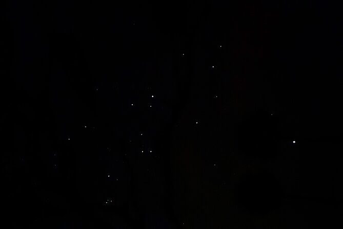 Spirits of Savannah Private Guided Walking Tour - FAQs