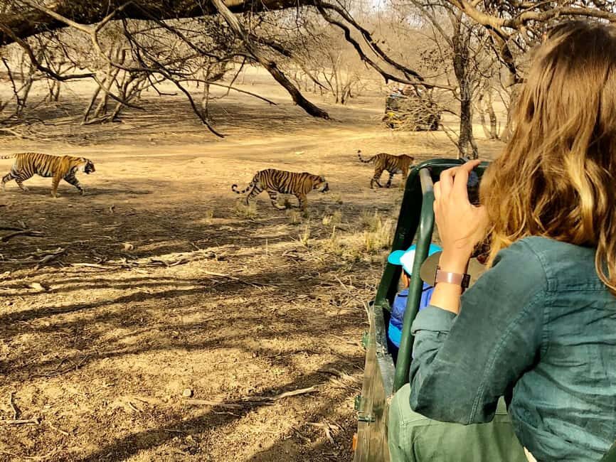 Spot Tigers and other wild of Ranthambore on a Day-Same Tour - The Practicalities: What You Need to Know