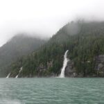 Spring Bear and Waterfall Tour - A Detailed Look at the Experience