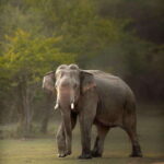 Sri Lanka: 10-Day Luxury Tour with guide - Key Points
