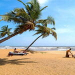 Sri Lanka 14-Day Journey: Culture, Nature & Adventure - Exploring Sri Lanka: A Deep Dive into the 14-Day Journey