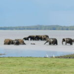 Sri Lanka: 3-Day Cultural Triangle, Hill Country, Train Tour - A Closer Look at the 3-Day Itinerary