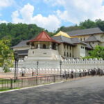 Sri Lanka 4-Day Kandy & Nuwara Eliya Tea & Hill Country Tour - An In-Depth Look at the Experience