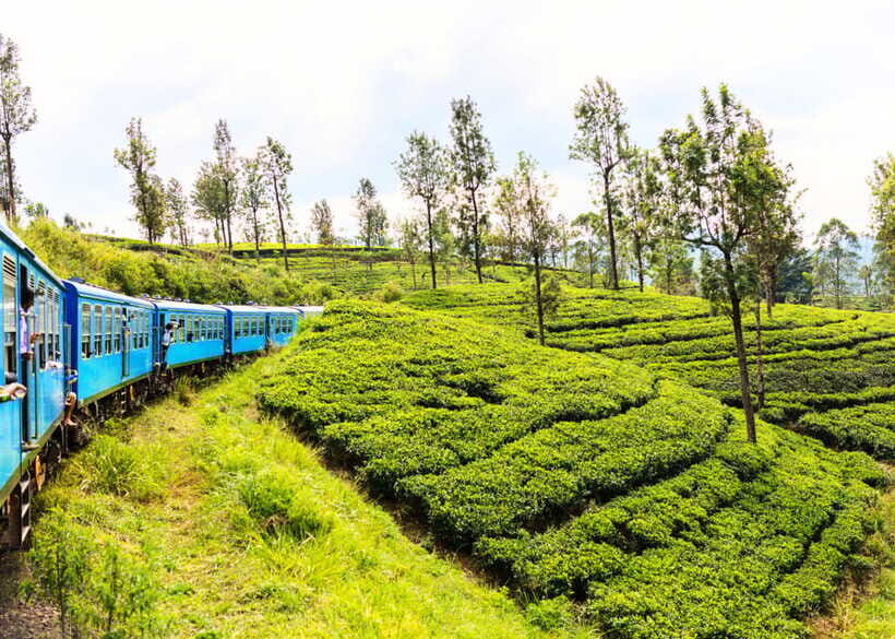 Sri Lanka 5-Day Private Country Side Tour Car, Hotels, Food - Day-by-Day Breakdown: What Makes It Special