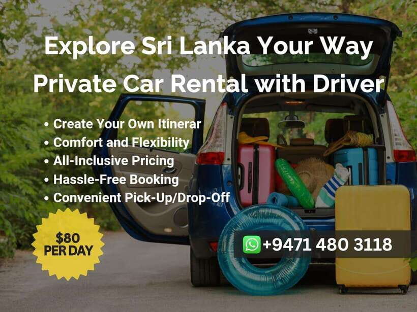 Sri Lanka Car Rental with Driver - 3 Days Minimum, 180km/Day - Who Will Love This Experience?