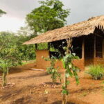 Sri Lanka: Ceylon Cinnamon Experience & Spice Garden Tour - An In-Depth Look at the Sri Lanka Spice Garden Tour