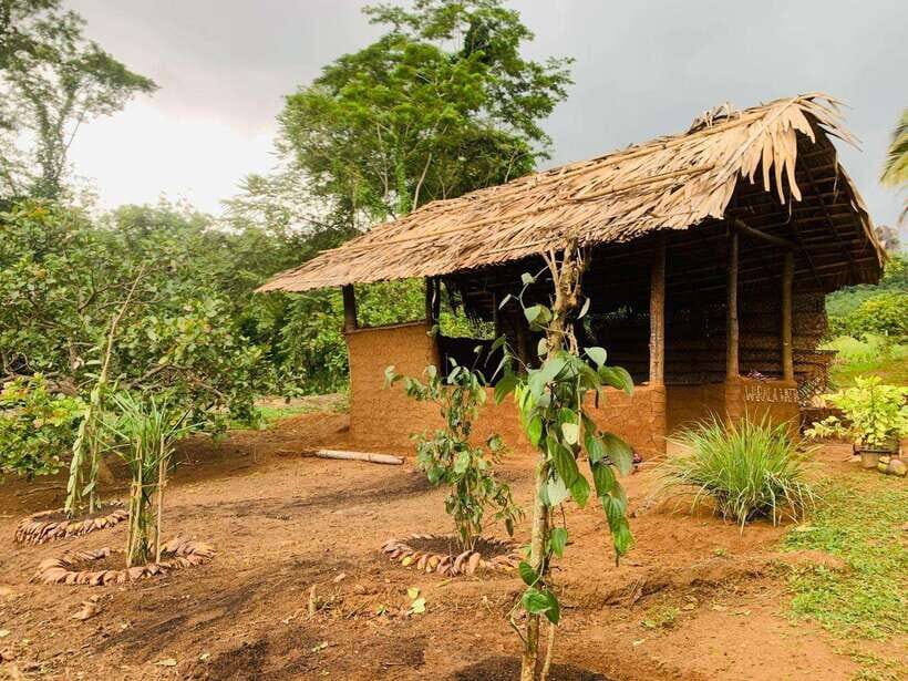 Sri Lanka: Ceylon Cinnamon Experience & Spice Garden Tour - An In-Depth Look at the Sri Lanka Spice Garden Tour