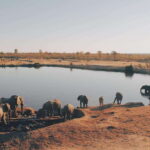 Sri Lanka Compact Highlight 5-Day Tour Sigiriya, Kandy, Ella - Day 3: From Kandy to Ella through Tea Country