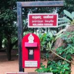 Sri Lanka in 06 Days - Detailed Review of the 6-Day Sri Lanka Tour