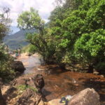 Sri Lanka jungle tour 4 days-rainforests, national parks... - A Deep Dive into Your 4-Day Sri Lanka Jungle Safari