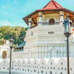 Sri Lanka: Kandy and Colombo Guided Cultural Tour - Who Will Love This Tour?