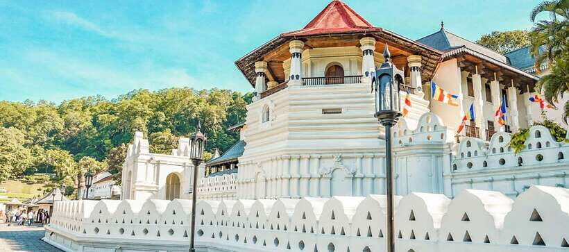 Sri Lanka: Kandy and Colombo Guided Cultural Tour - Who Will Love This Tour?