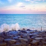 Sri Lanka Personal Tour Driver in private vehicle - An In-Depth Look at the Sri Lanka Personal Tour Driver Service