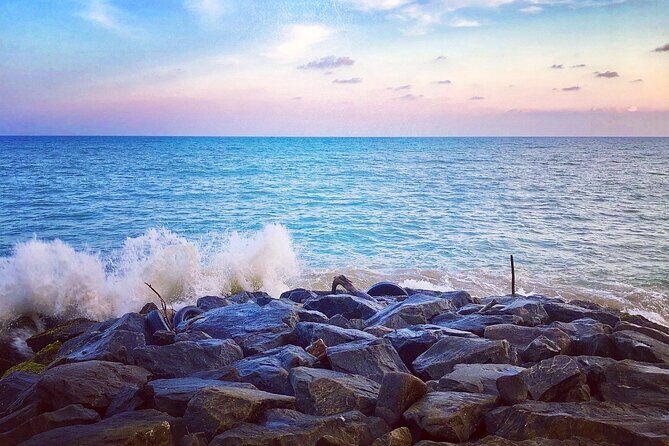 Sri Lanka Personal Tour Driver in private vehicle - An In-Depth Look at the Sri Lanka Personal Tour Driver Service